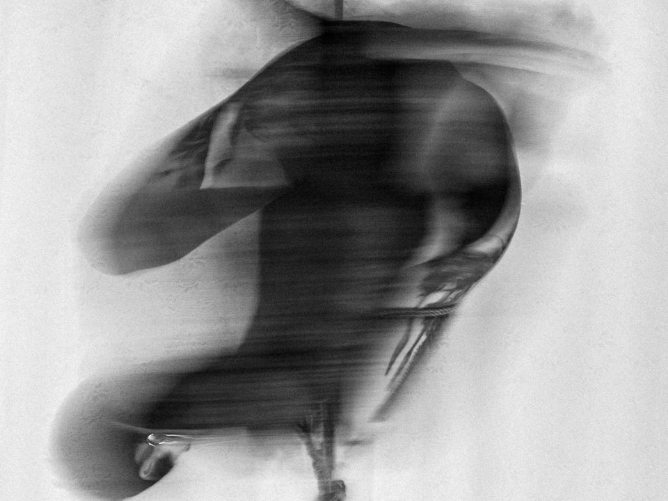 Allomyrina Dichotoma